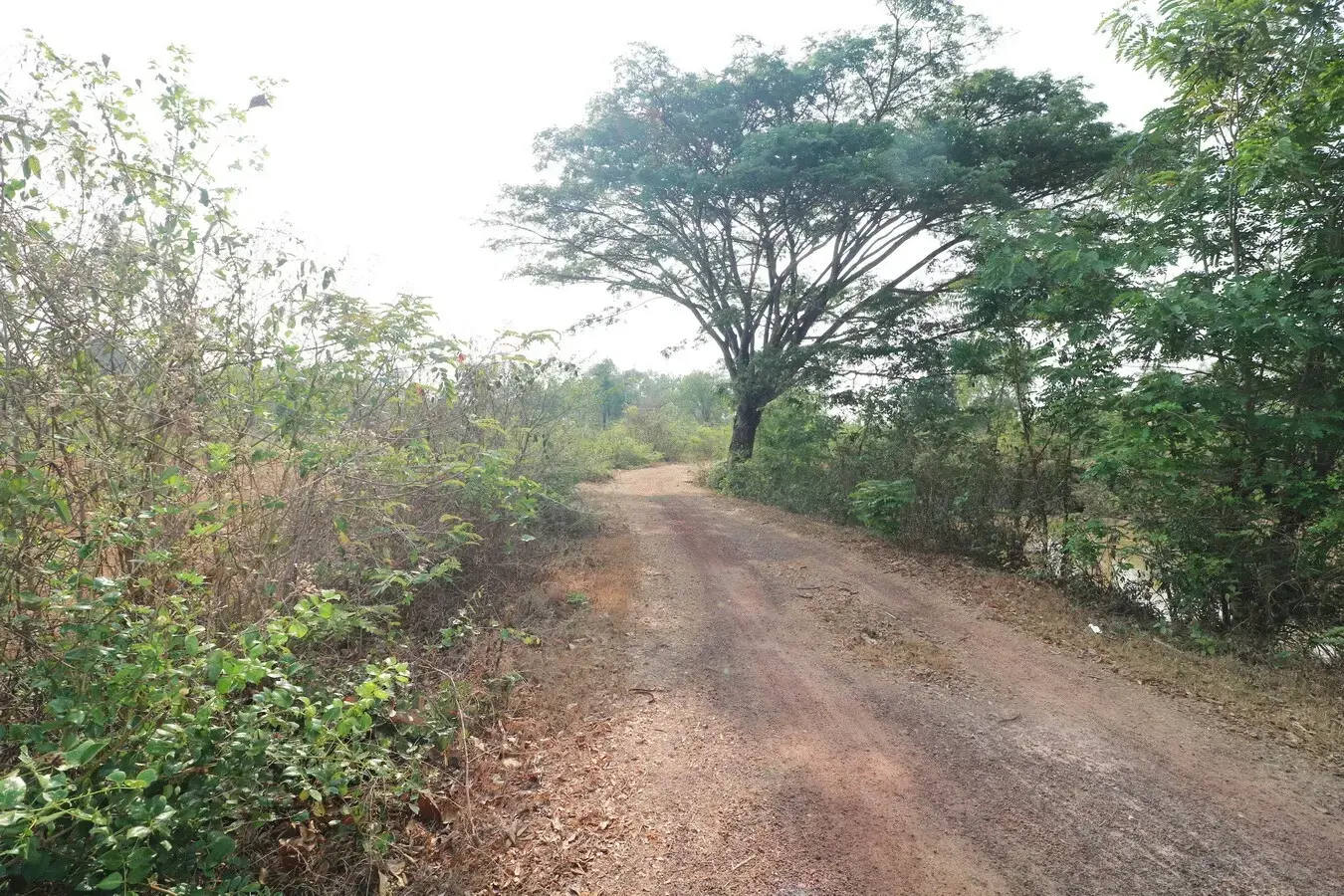 1 Ngan, 59 Talang Wah, 636 Sq, Mt Levelled Land For Sale in Nong Na Kham, Udon Thani, Thailand