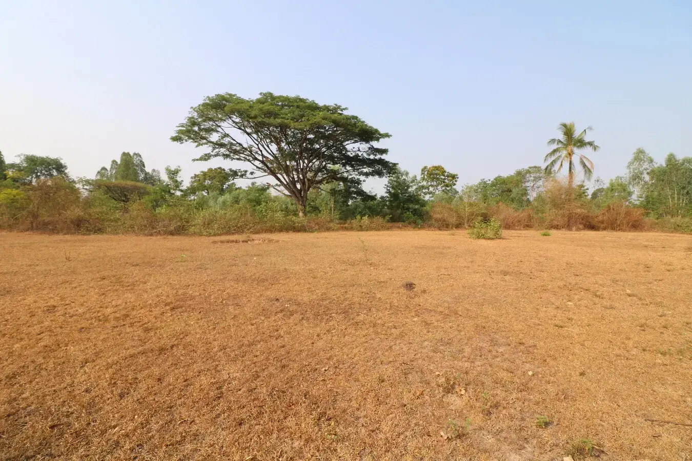 1 Ngan, 59 Talang Wah, 636 Sq, Mt Levelled Land For Sale in Nong Na Kham, Udon Thani, Thailand