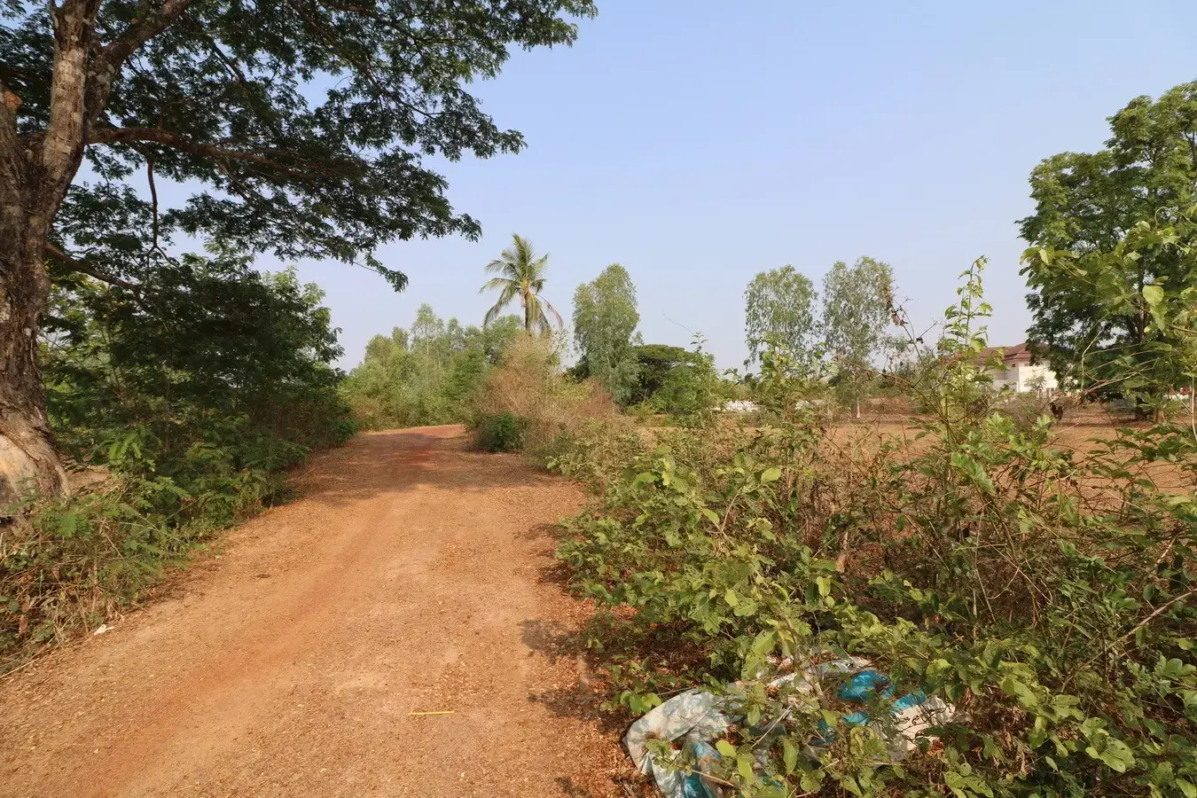 1 Ngan, 59 Talang Wah, 636 Sq, Mt Levelled Land For Sale in Nong Na Kham, Udon Thani, Thailand