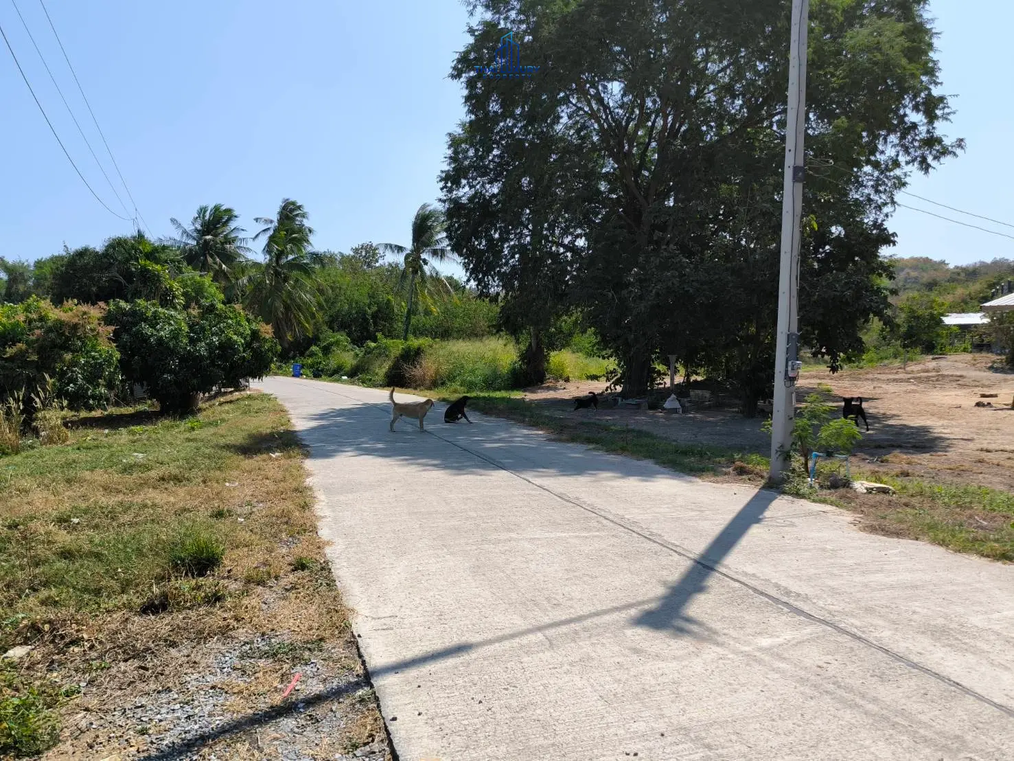 ที่ดินสวยเนื้อที่ 12-1-55 ไร่ บรรยากาศดี ใกล้หัวหินซาฟารี ที่ วัดทุ่งเหย้า ซอย 9