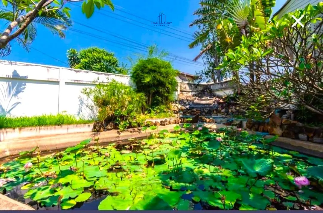 ขายพูลวิลล่าสวย 3 ห้องนอน ที่ Swiss Orchid Bungalow ชะอำ