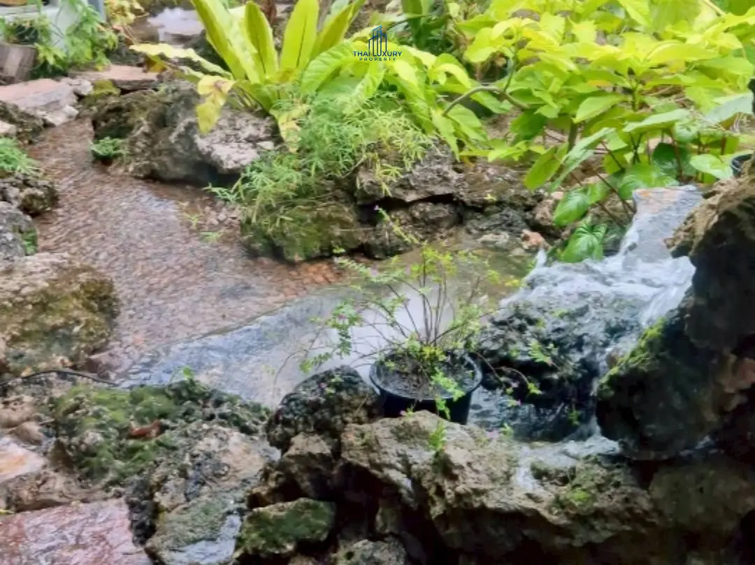 สปาและคาเฟ่สวยให้เช่าที่บลูบันนี่ คาเฟ่ – หัวหิน
