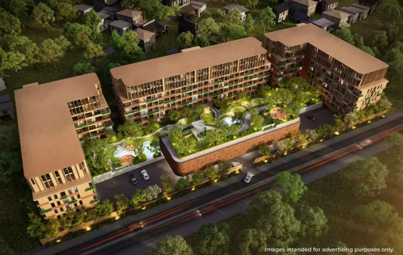 New development