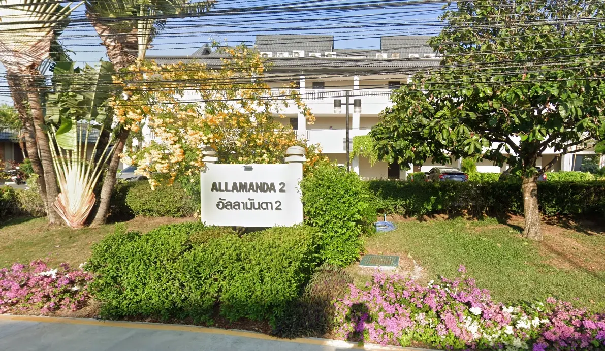 Allamanda 2