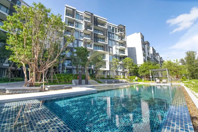 New development