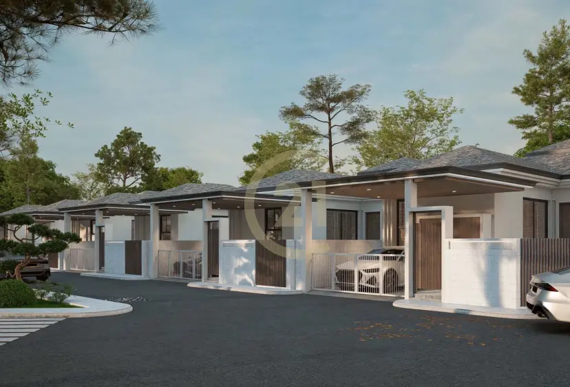 New development
