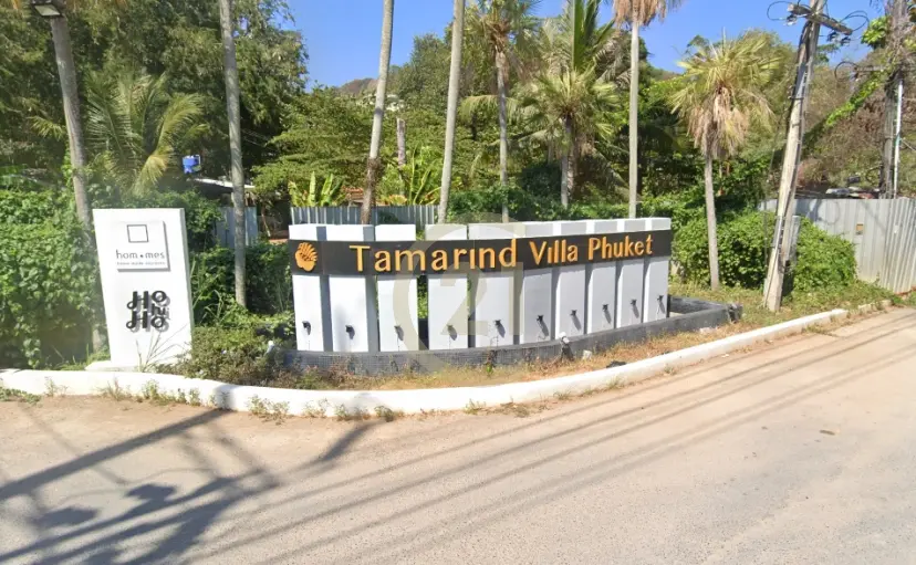 New development