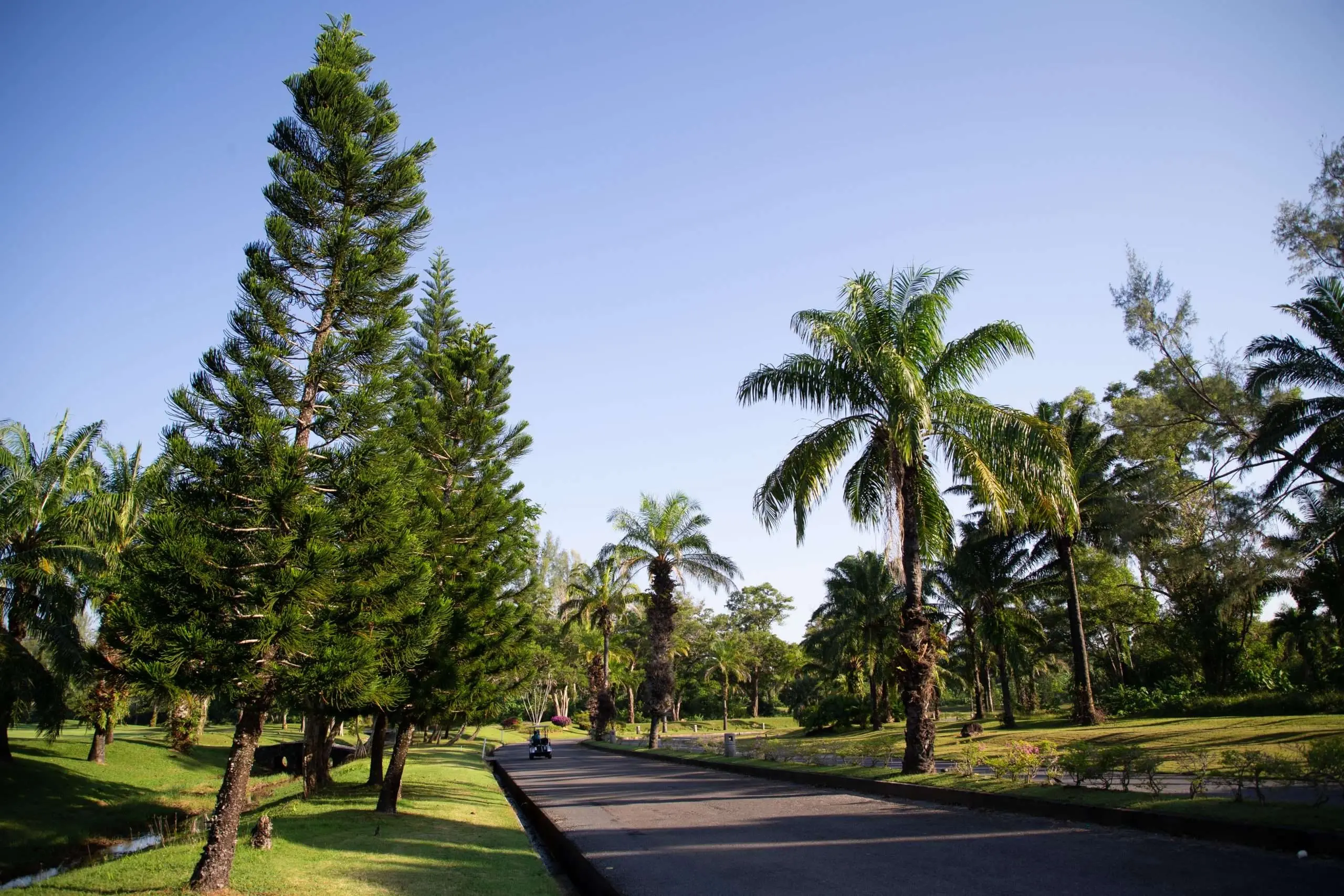 Condo Luxury Living Amidst Nature in a World-Class Golf Community