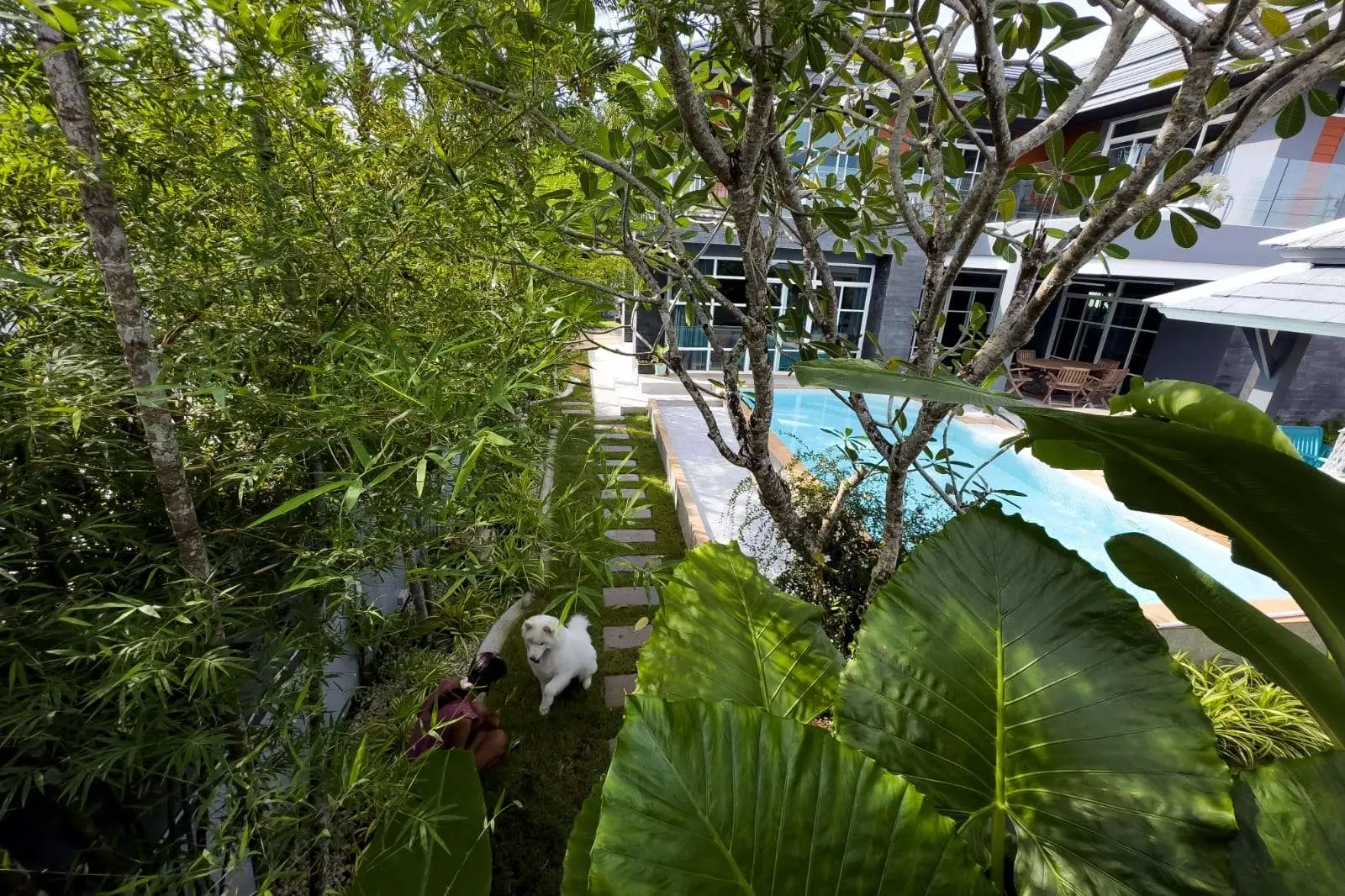 Spacious 4+1 Bedroom Private Pool Villa with Garden and Ample Parking For SALE - RENT