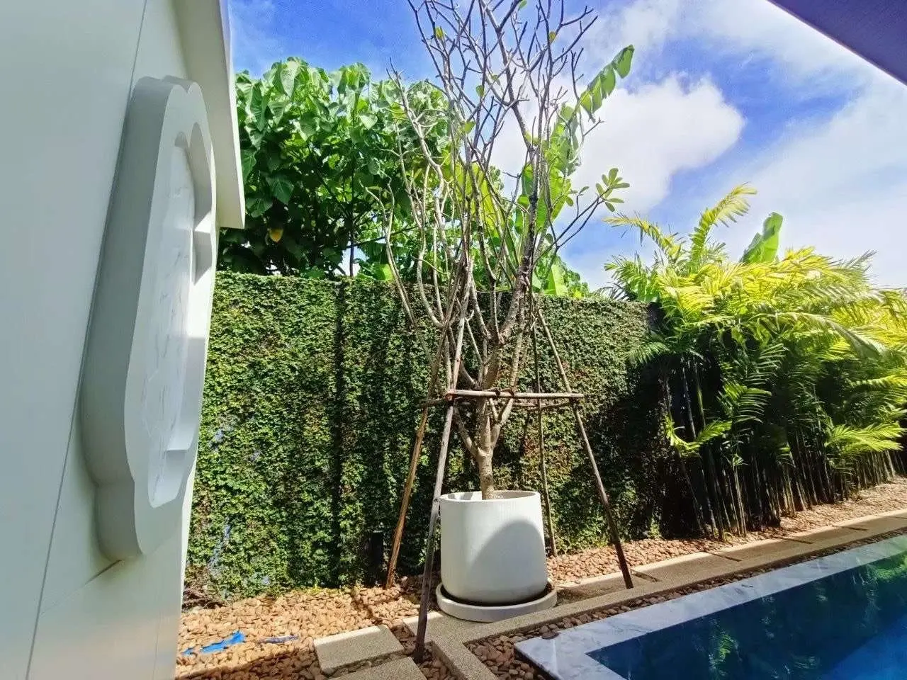 Luxury 1-Bedroom Villa for Rent in Pasak 8