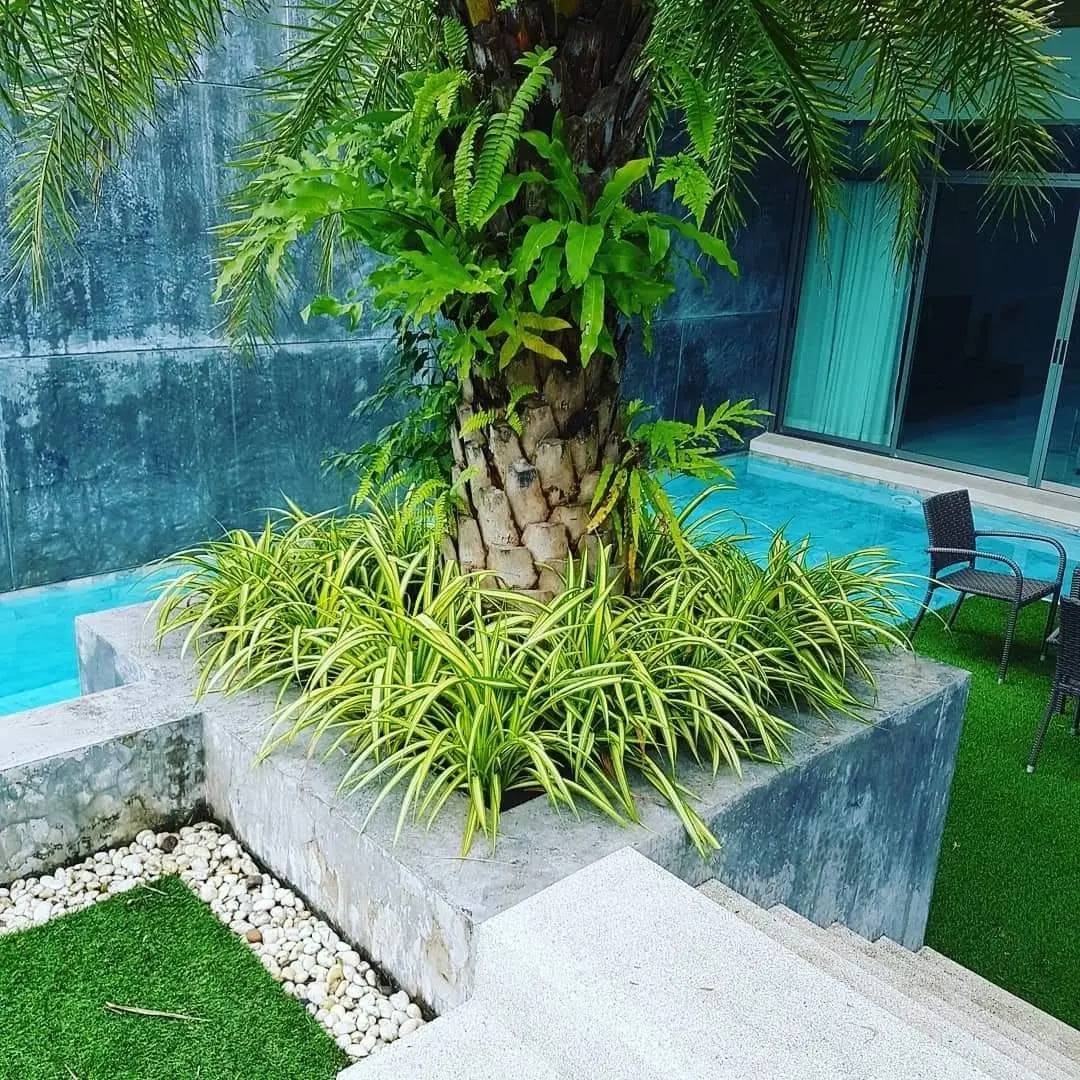 3 Bedroom Pool Villa in Rawai for rent