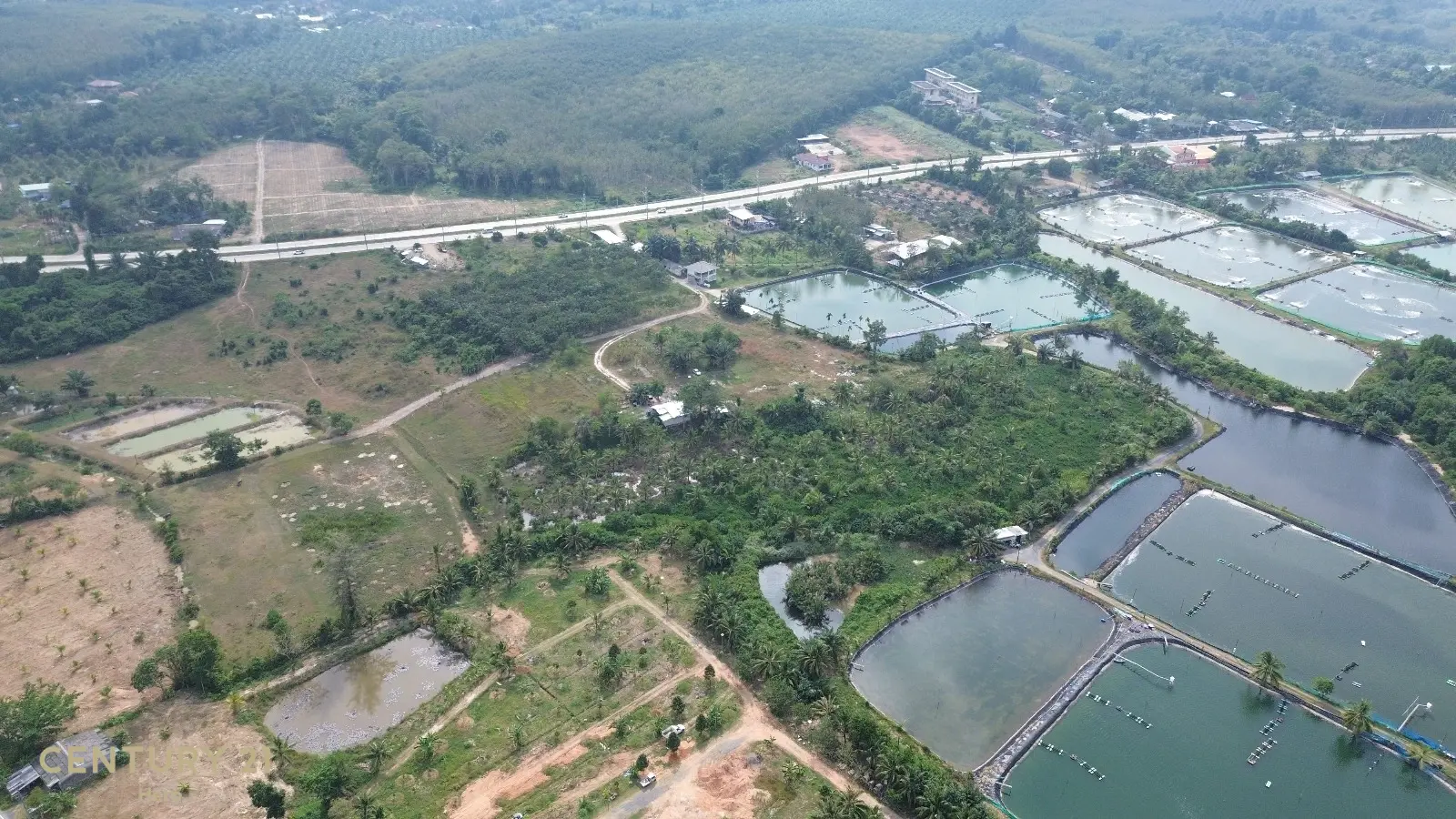 8 Rai Freehold Land Pa Khlok, Thalang