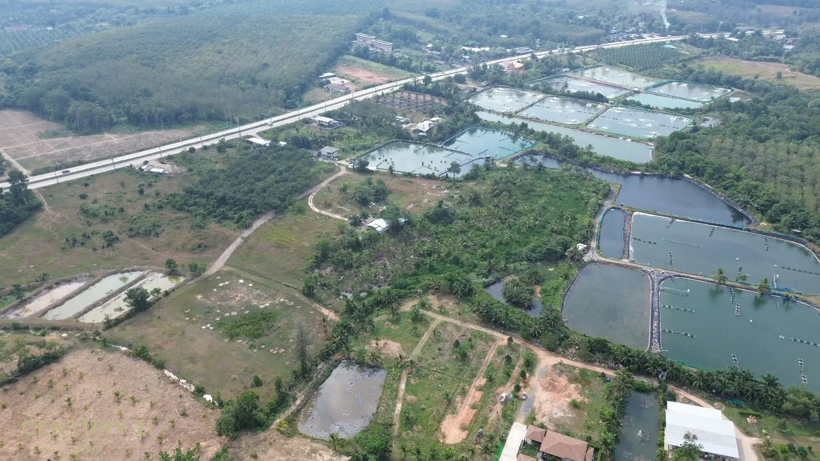 8 Rai Freehold Land Pa Khlok, Thalang