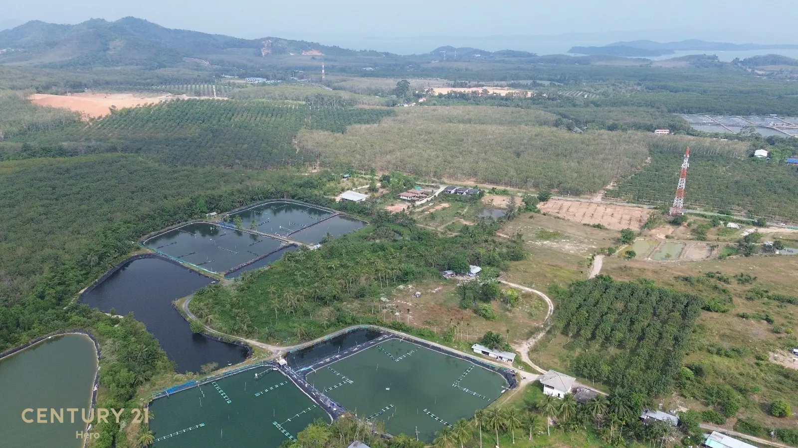 8 Rai Freehold Land Pa Khlok, Thalang