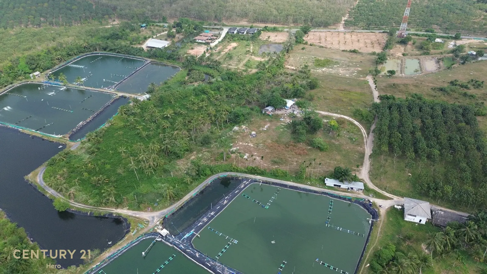 8 Rai Freehold Land Pa Khlok, Thalang
