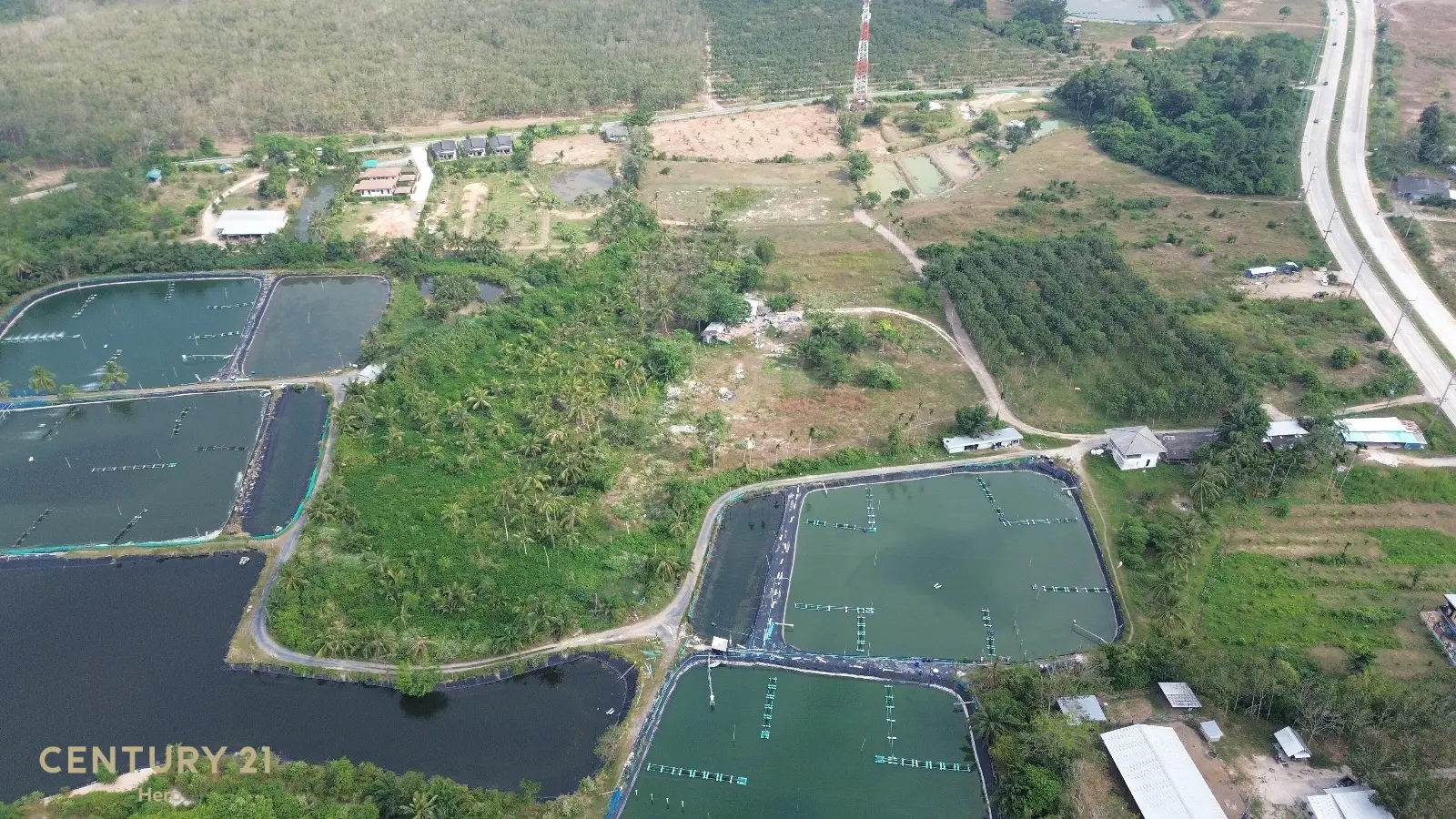 8 Rai Freehold Land Pa Khlok, Thalang