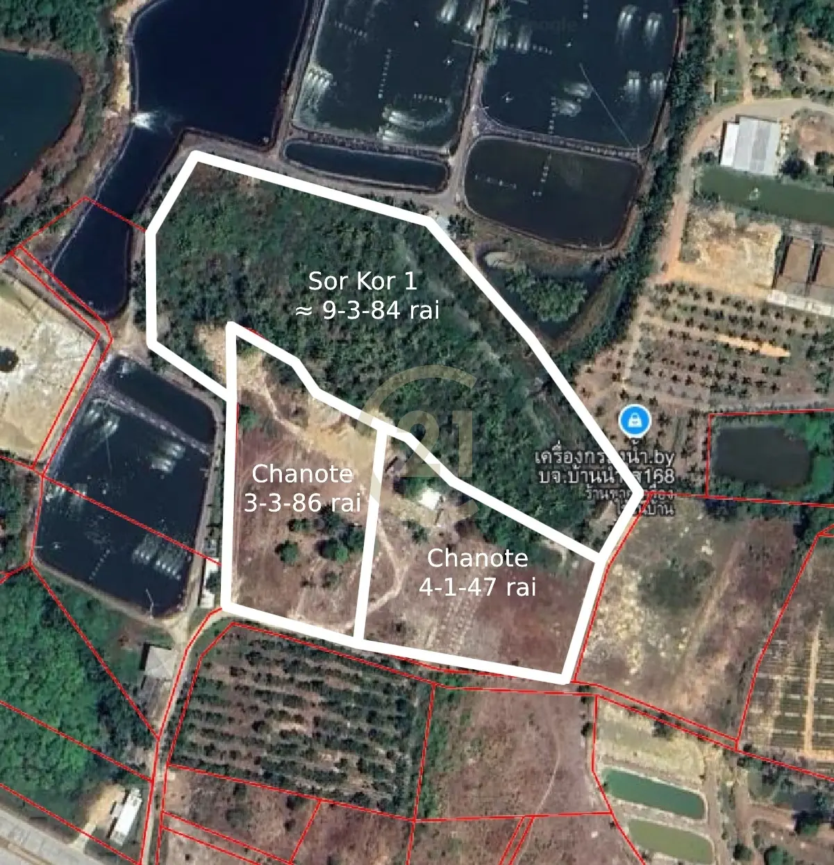 8 Rai Freehold Land Pa Khlok, Thalang