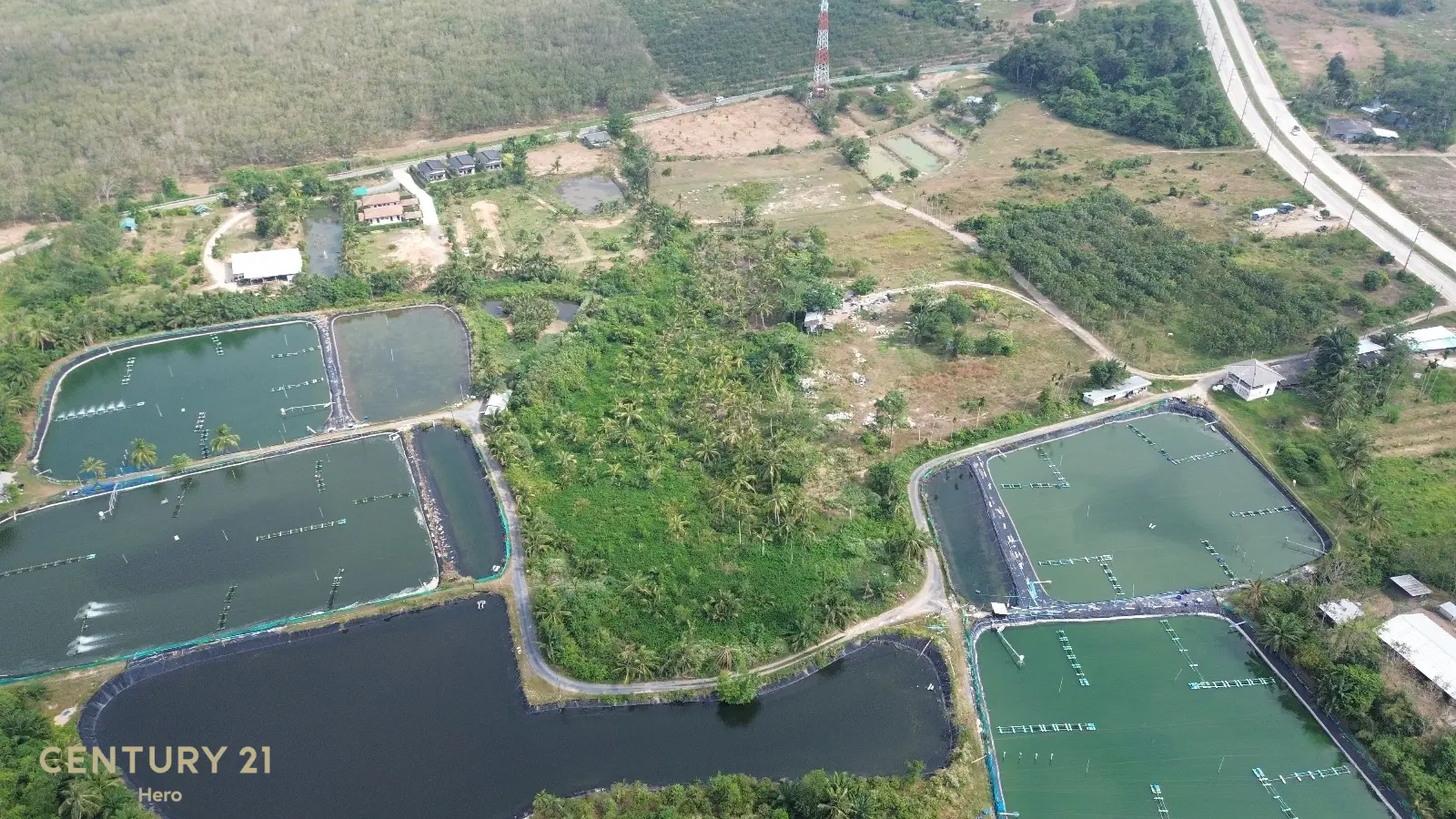 8 Rai Freehold Land Pa Khlok, Thalang