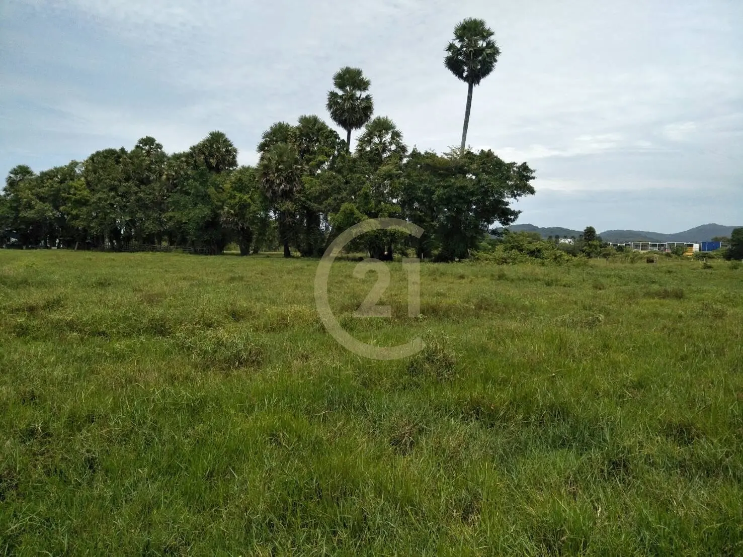 Prime 14-Rai Land for Sale in Ban Don, Thalang, Phuket