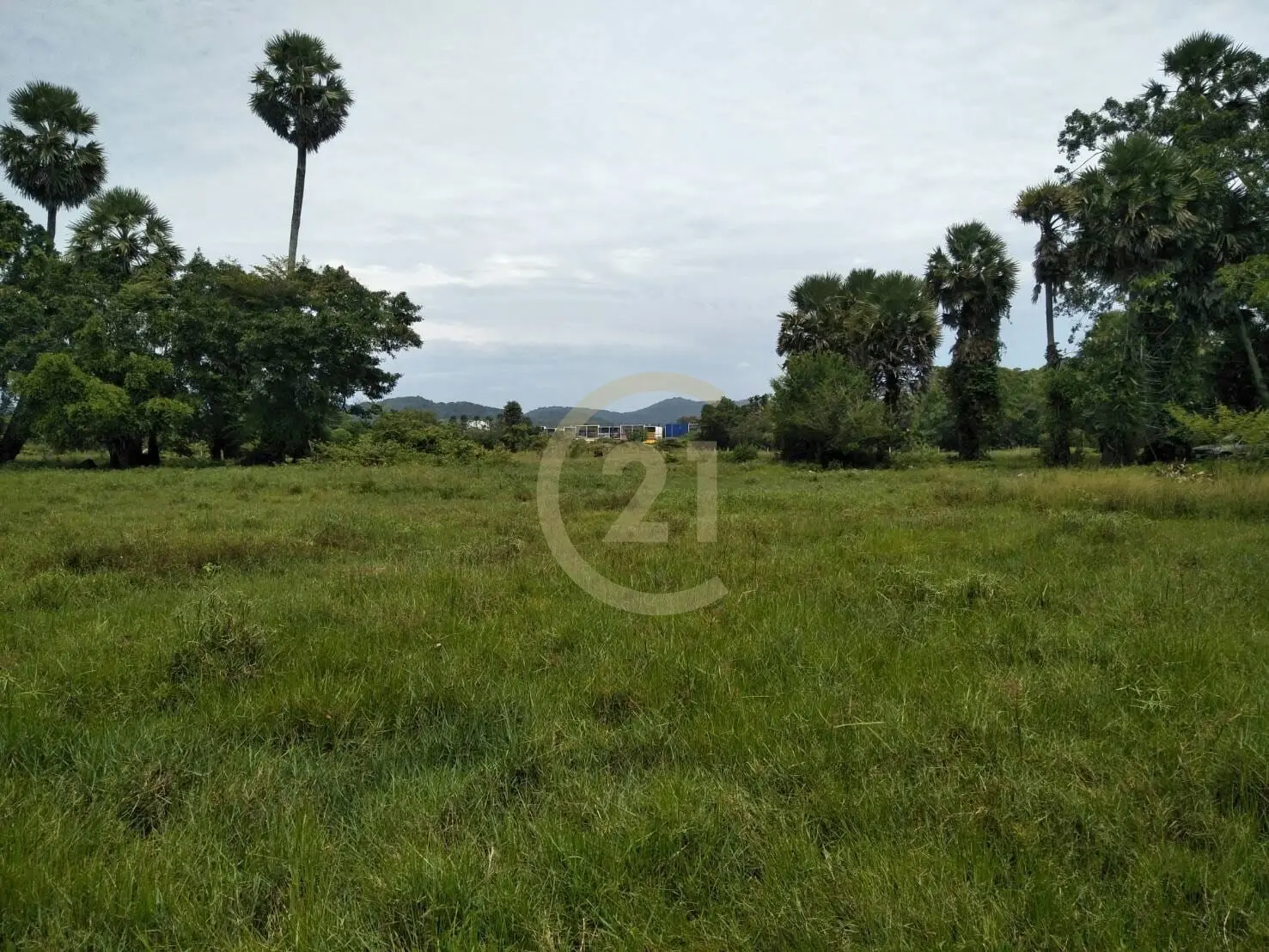 Prime 14-Rai Land for Sale in Ban Don, Thalang, Phuket