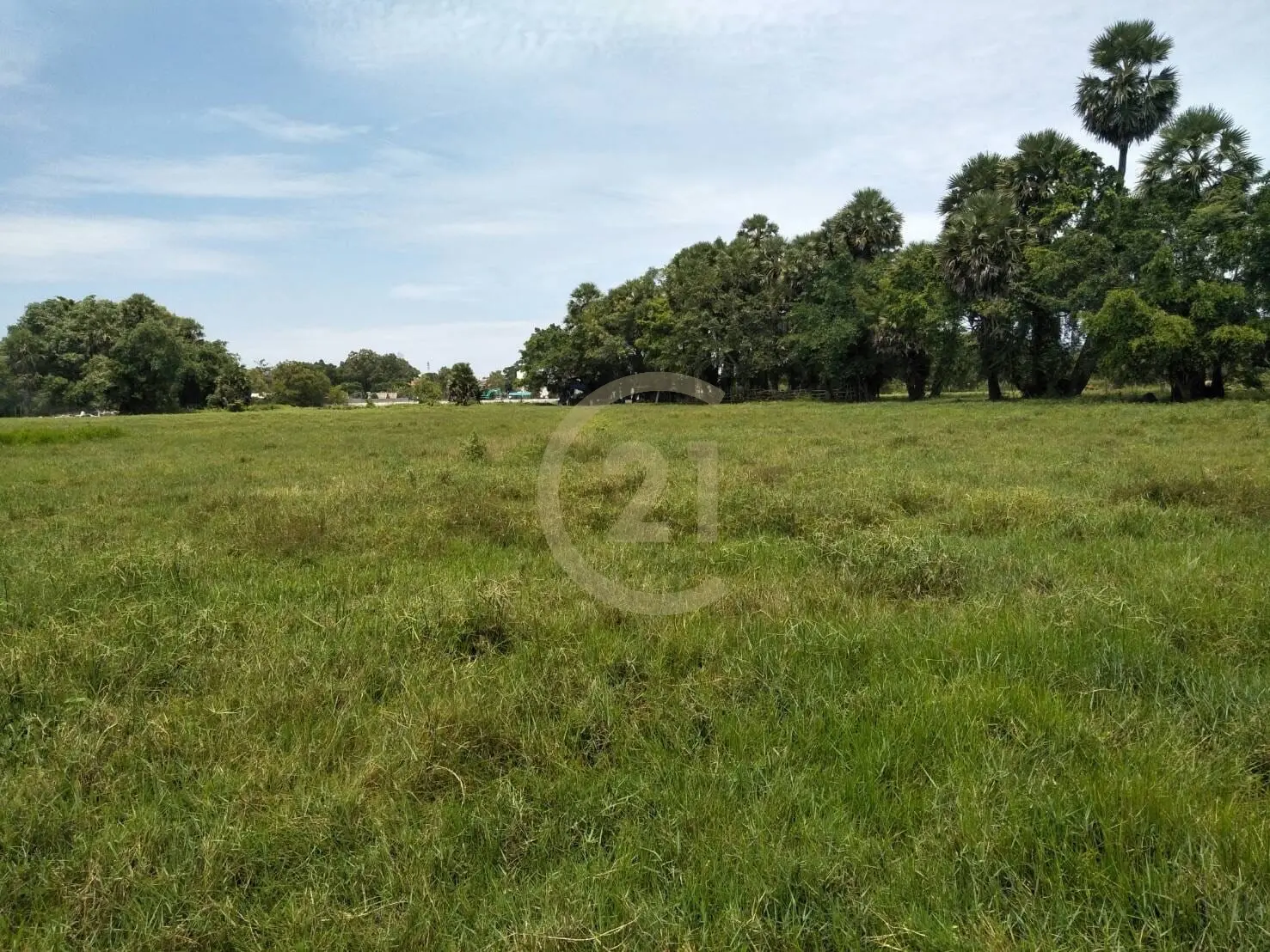 Prime 14-Rai Land for Sale in Ban Don, Thalang, Phuket