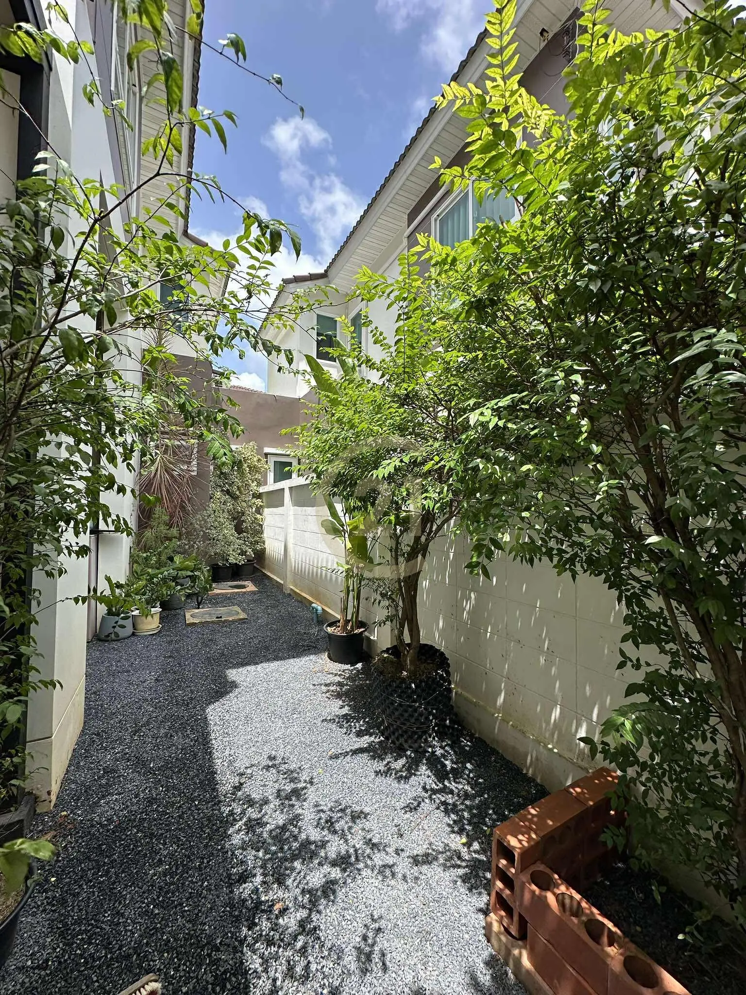  3-Bedroom House for Rent in Thalang, Phuket - Supalai Bella