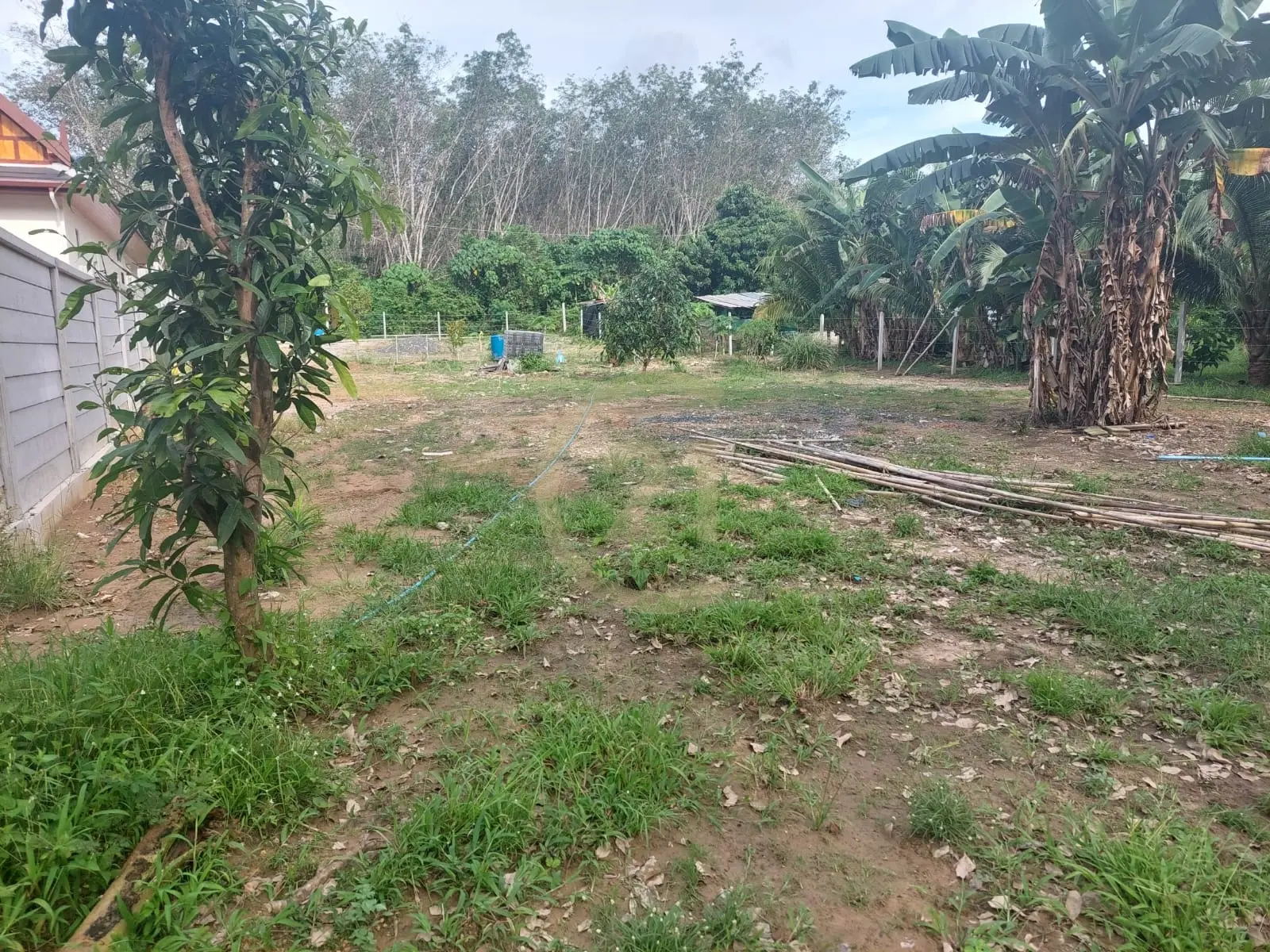 Beautiful Land Plot for Sale in Si Sunthon, Thalang, Phuket