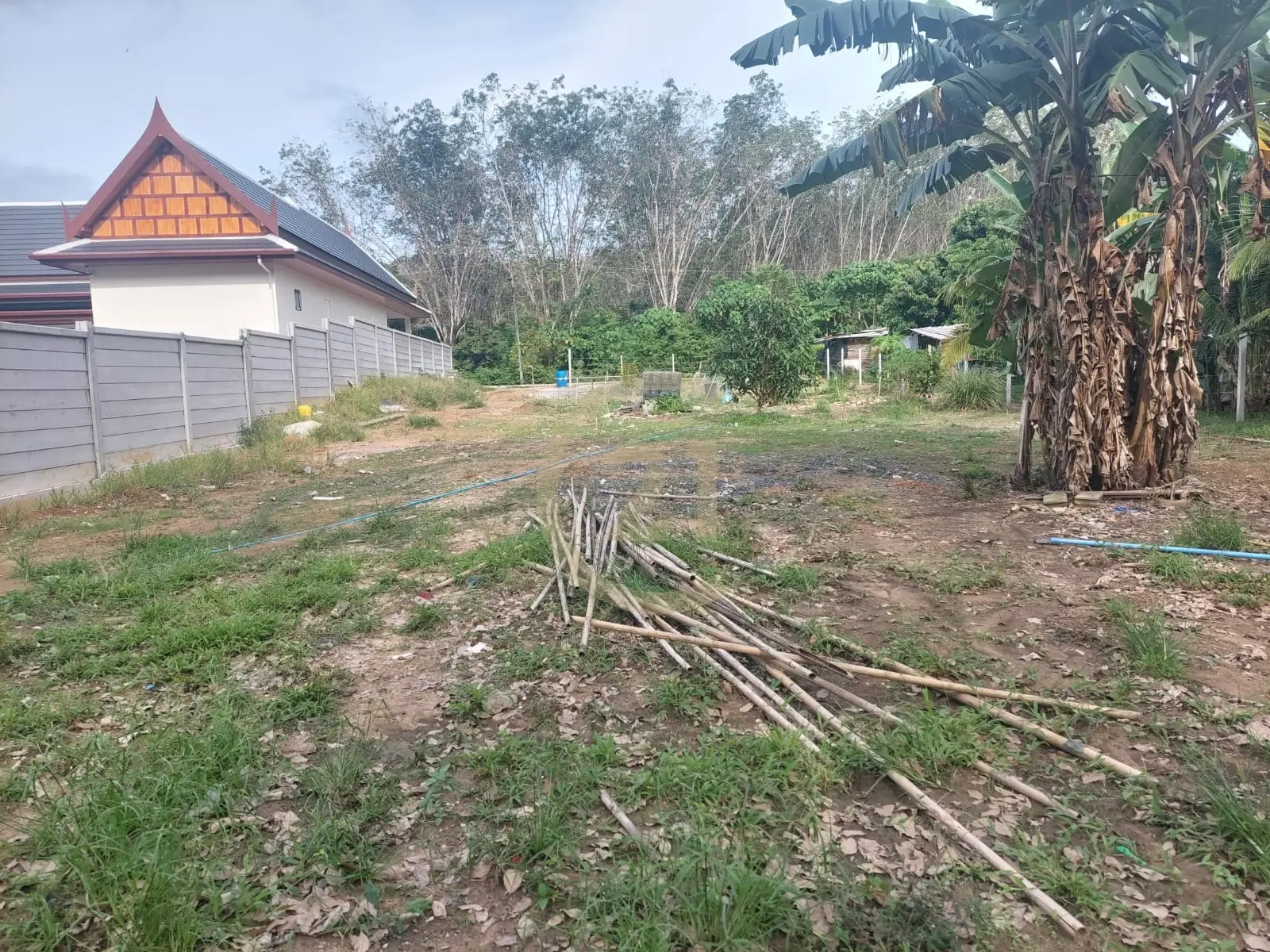 Beautiful Land Plot for Sale in Si Sunthon, Thalang, Phuket