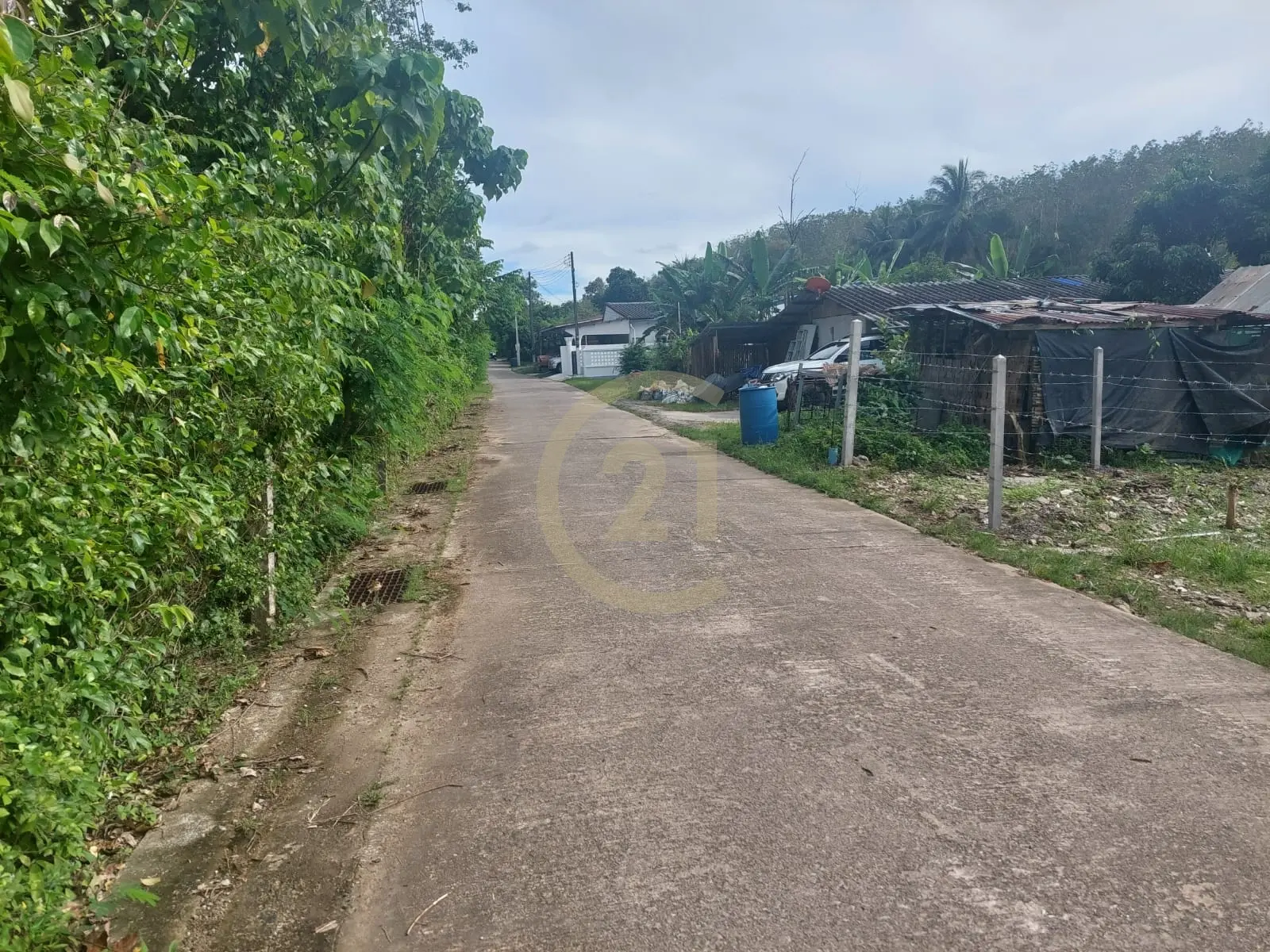 Beautiful Land Plot for Sale in Si Sunthon, Thalang, Phuket