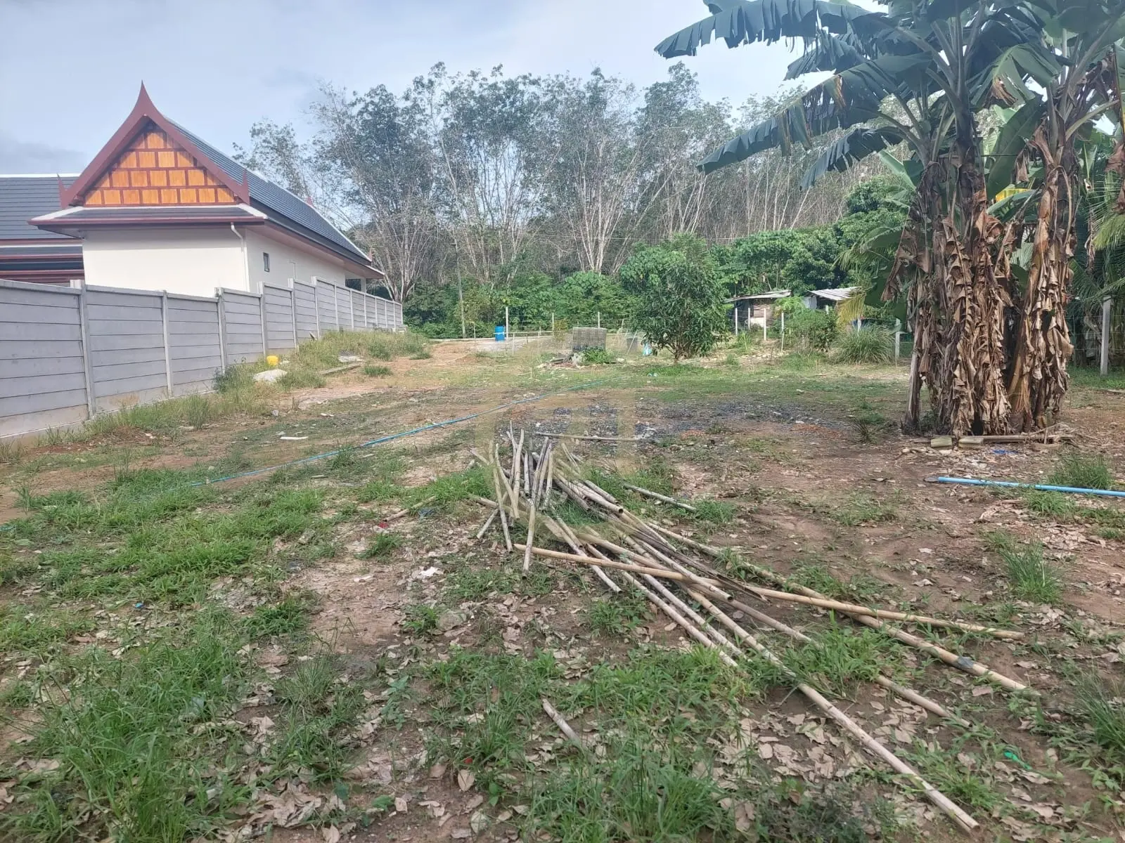 Beautiful Land Plot for Sale in Si Sunthon, Thalang, Phuket