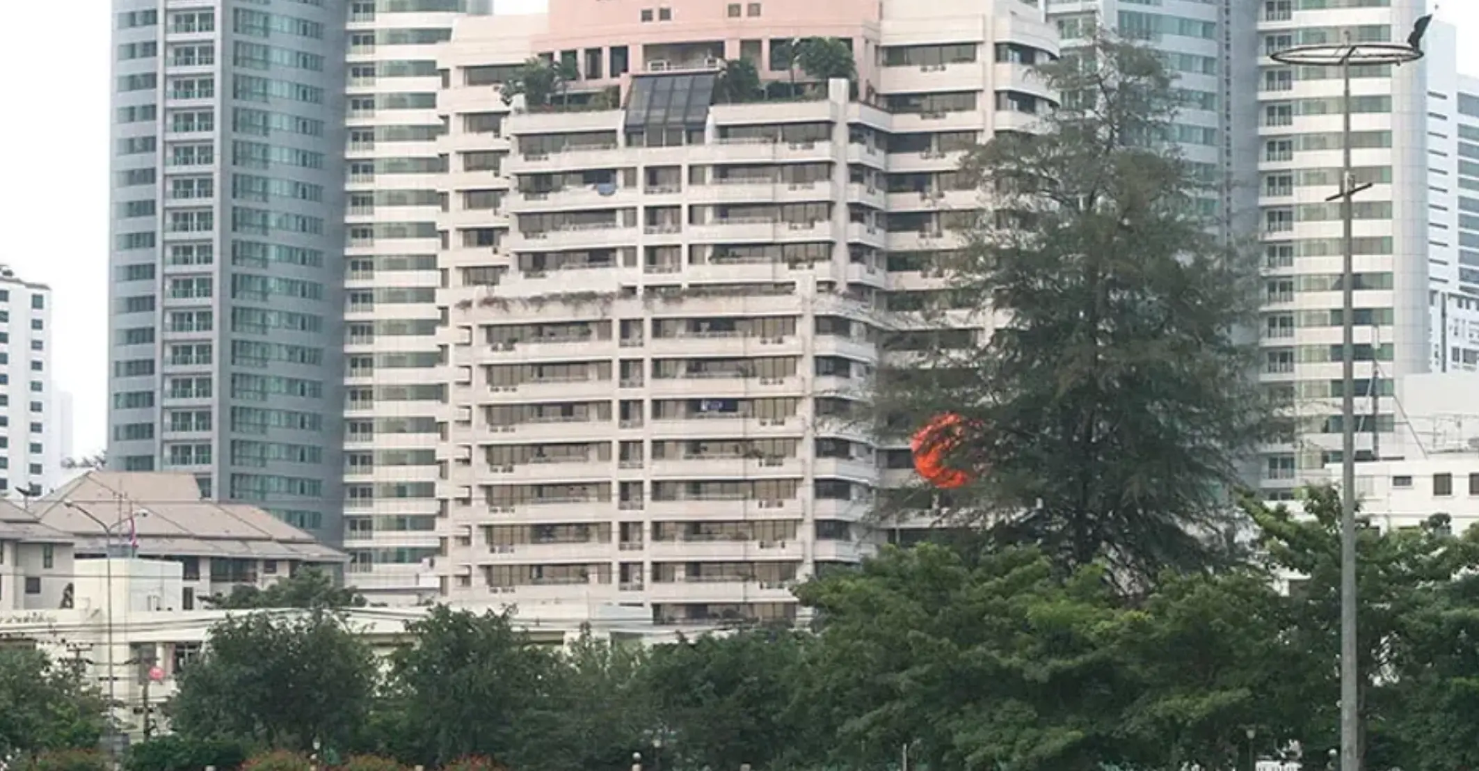 Mayfair Garden 