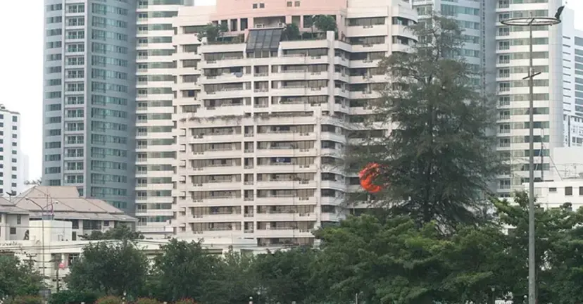 New development