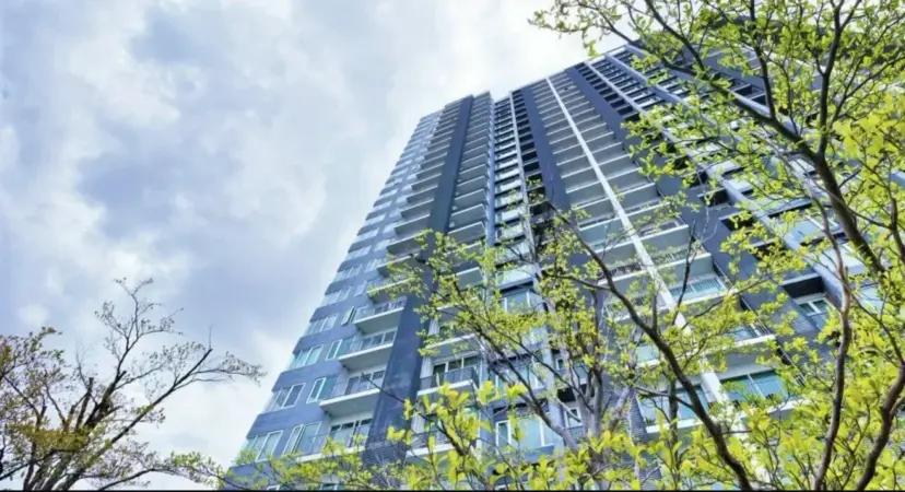 New development