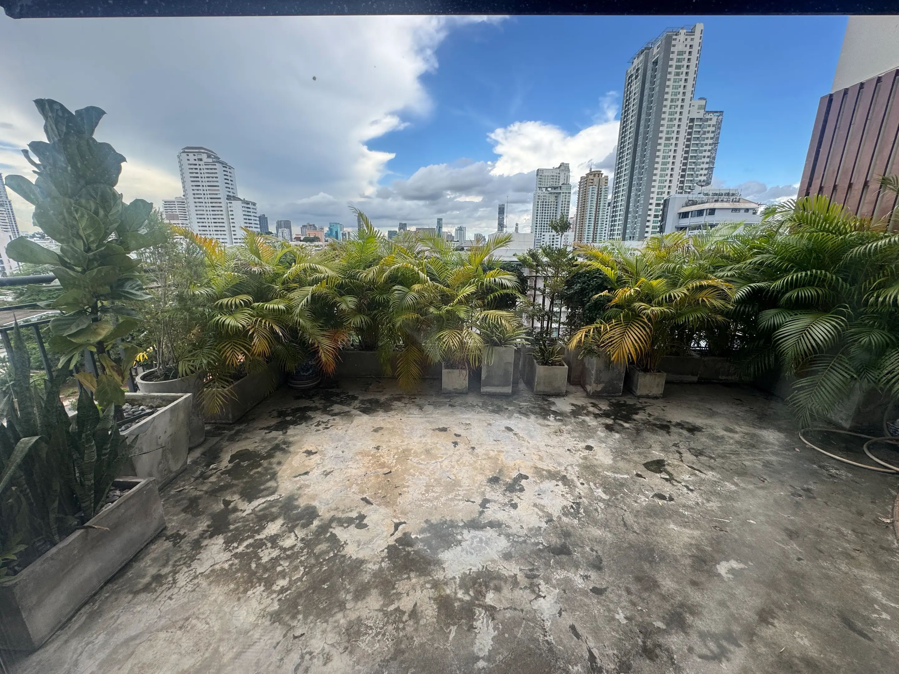Large terrace condo in Sukhumvit 31 for sale 