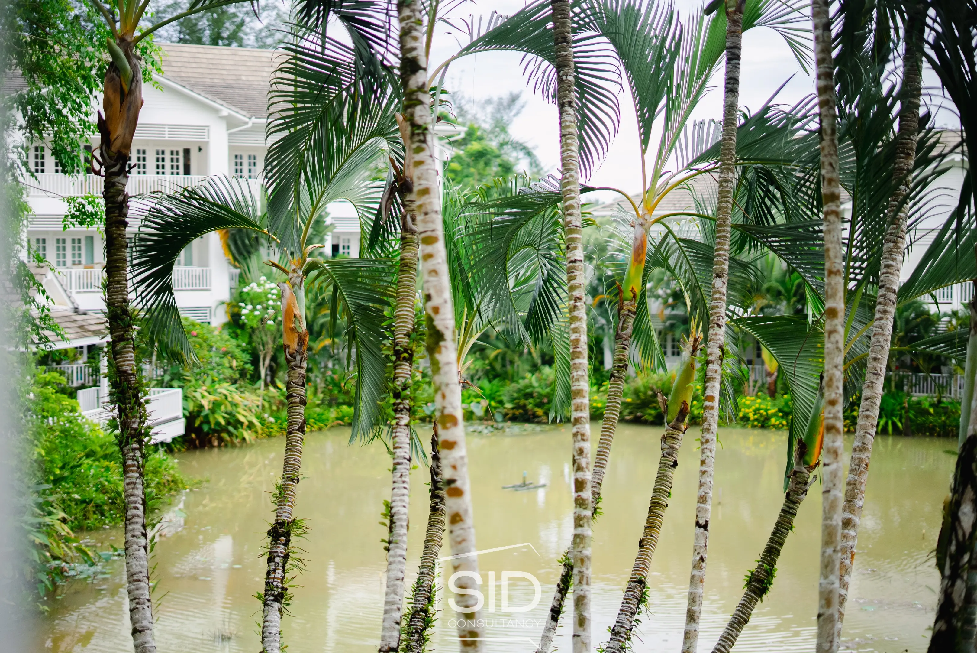 Winter Escape in Phuket — Ocean Breeze Layan