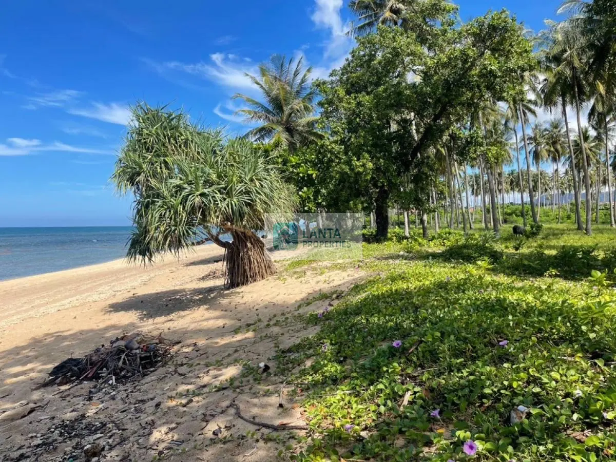 23 Rai Beachfront land on Klong Kong, Koh Lanta