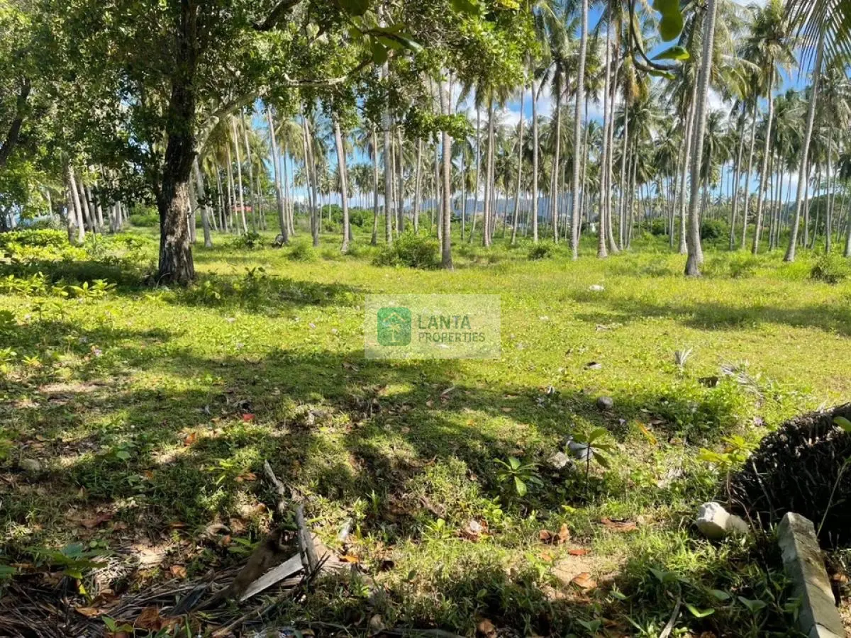 23 Rai Beachfront land on Klong Kong, Koh Lanta