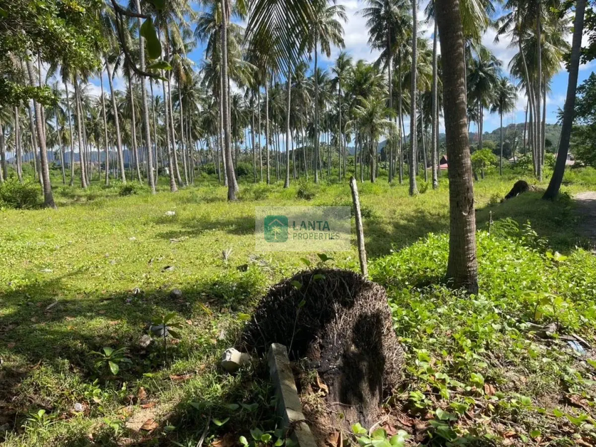 23 Rai Beachfront land on Klong Kong, Koh Lanta