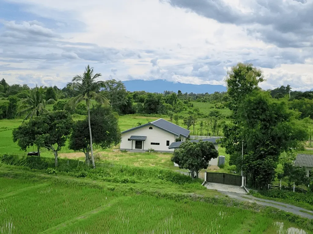 Peaceful Paddyhaus