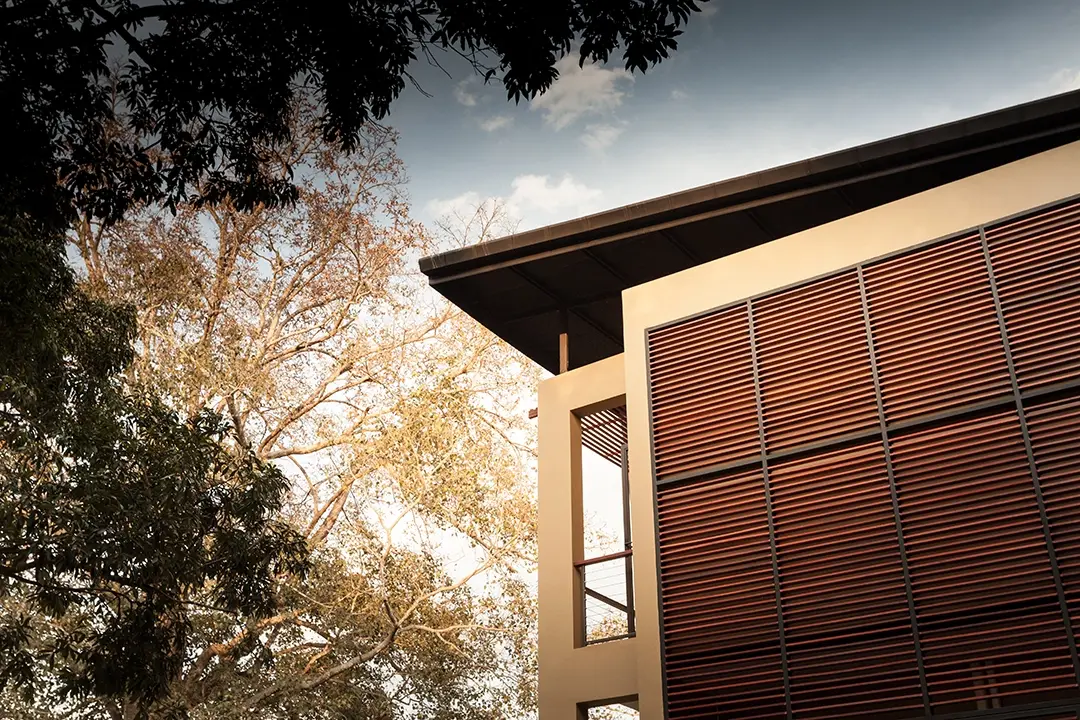 The Serene Home