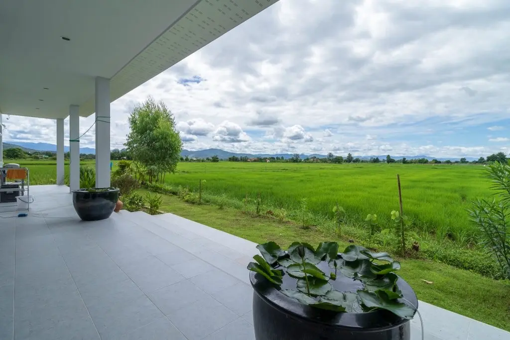 The Rice Paddy Home