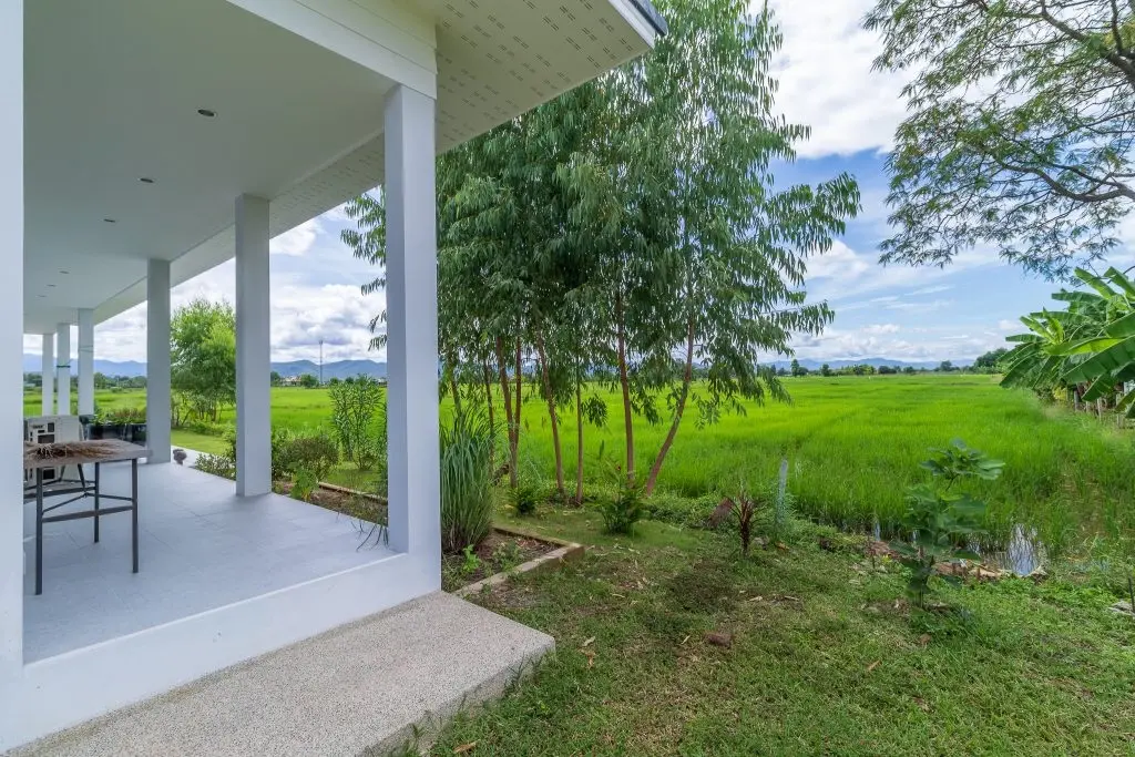 The Rice Paddy Home