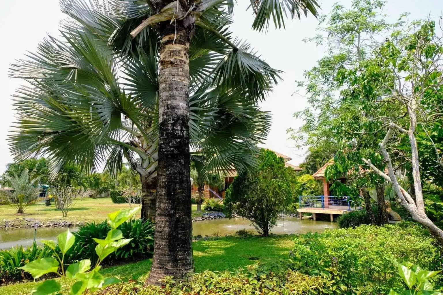 (HS261-04) Large Luxury Family Home with Pool on 3+ Rai in San Sai