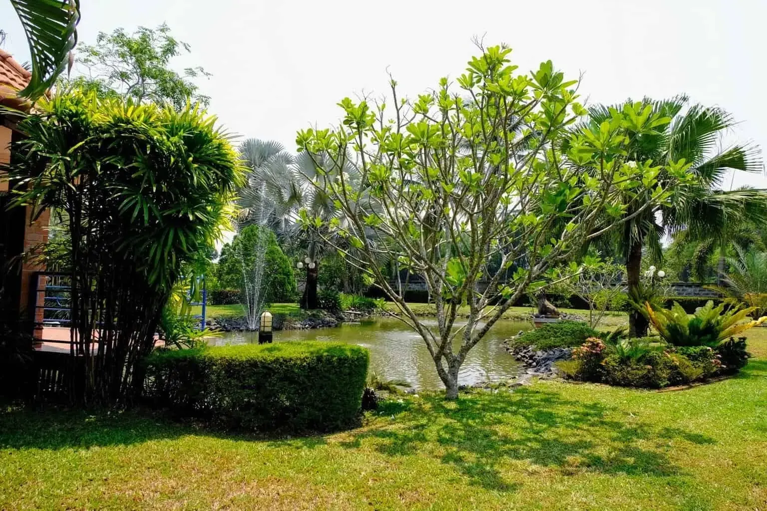 (HS261-04) Large Luxury Family Home with Pool on 3+ Rai in San Sai