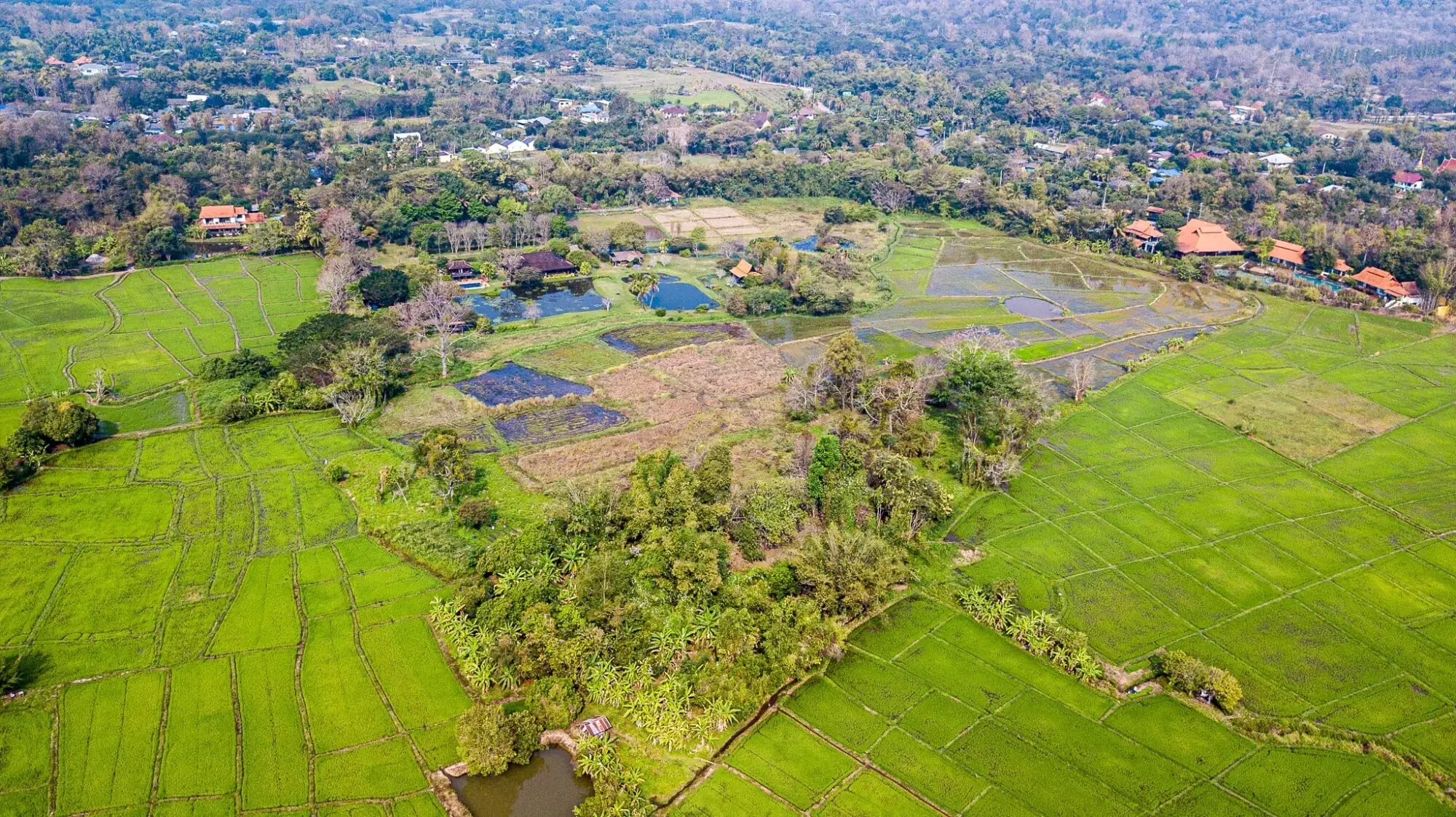 (HS353-24) Amazing 24+ Rai Northern Thai Luxury “Sanctuary” Property for Sale in Luang Nuea, Chiang Mai