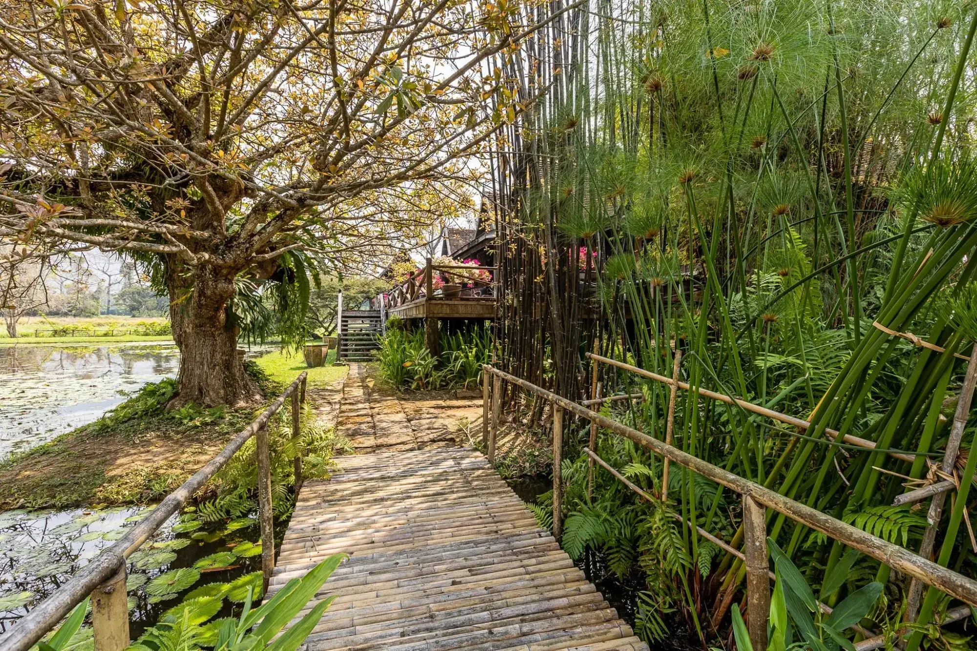 (HS353-24) Amazing 24+ Rai Northern Thai Luxury “Sanctuary” Property for Sale in Luang Nuea, Chiang Mai