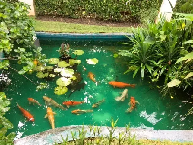 (HS369-02)  Nice 2 Bedroom Bungalow on a Lake for Sale in On Tai, San Kamphaeng, Chiang Mai