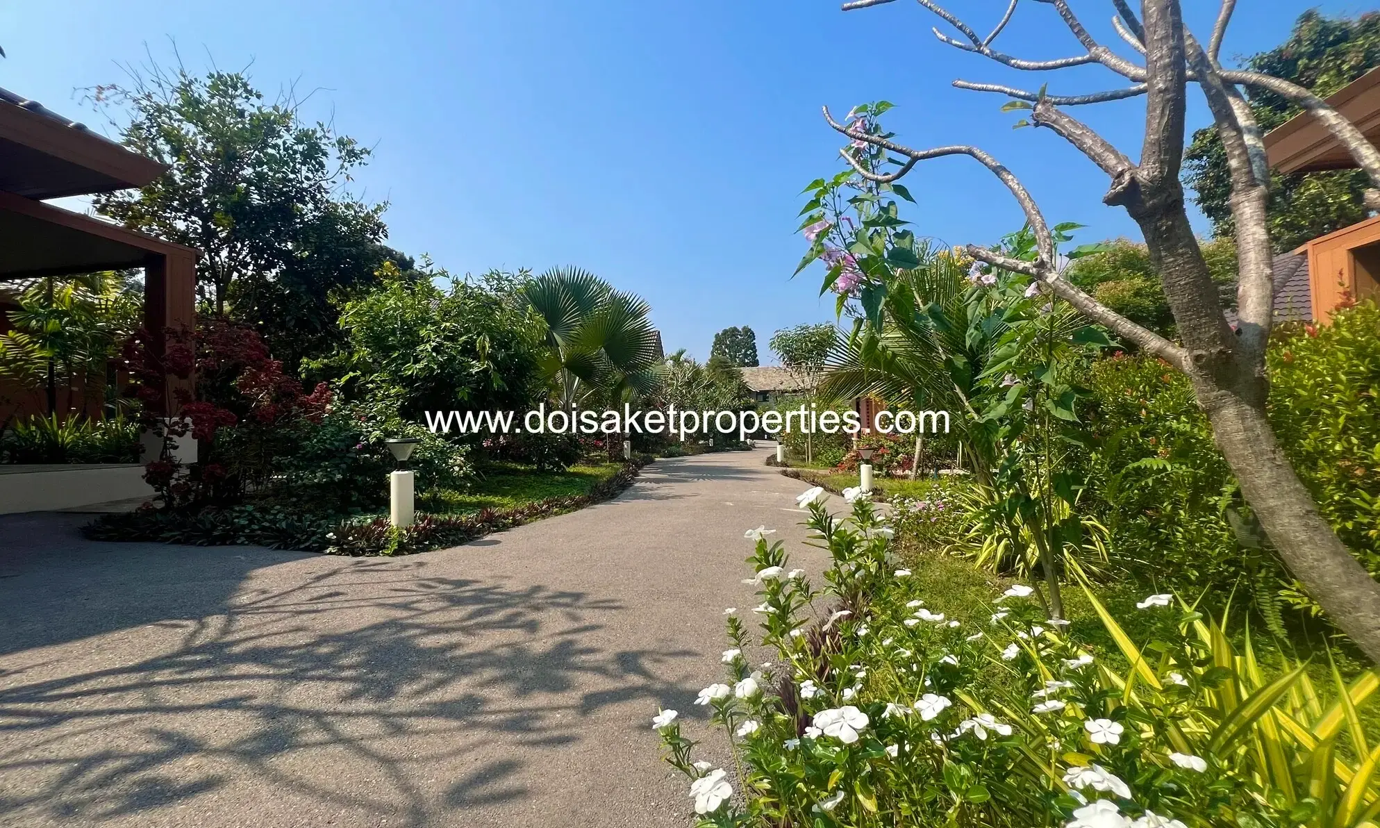 (HS377-01) Brand New Senior Living Residences for Sale and Rent in Doi Saket, Chiang Mai, Thailand