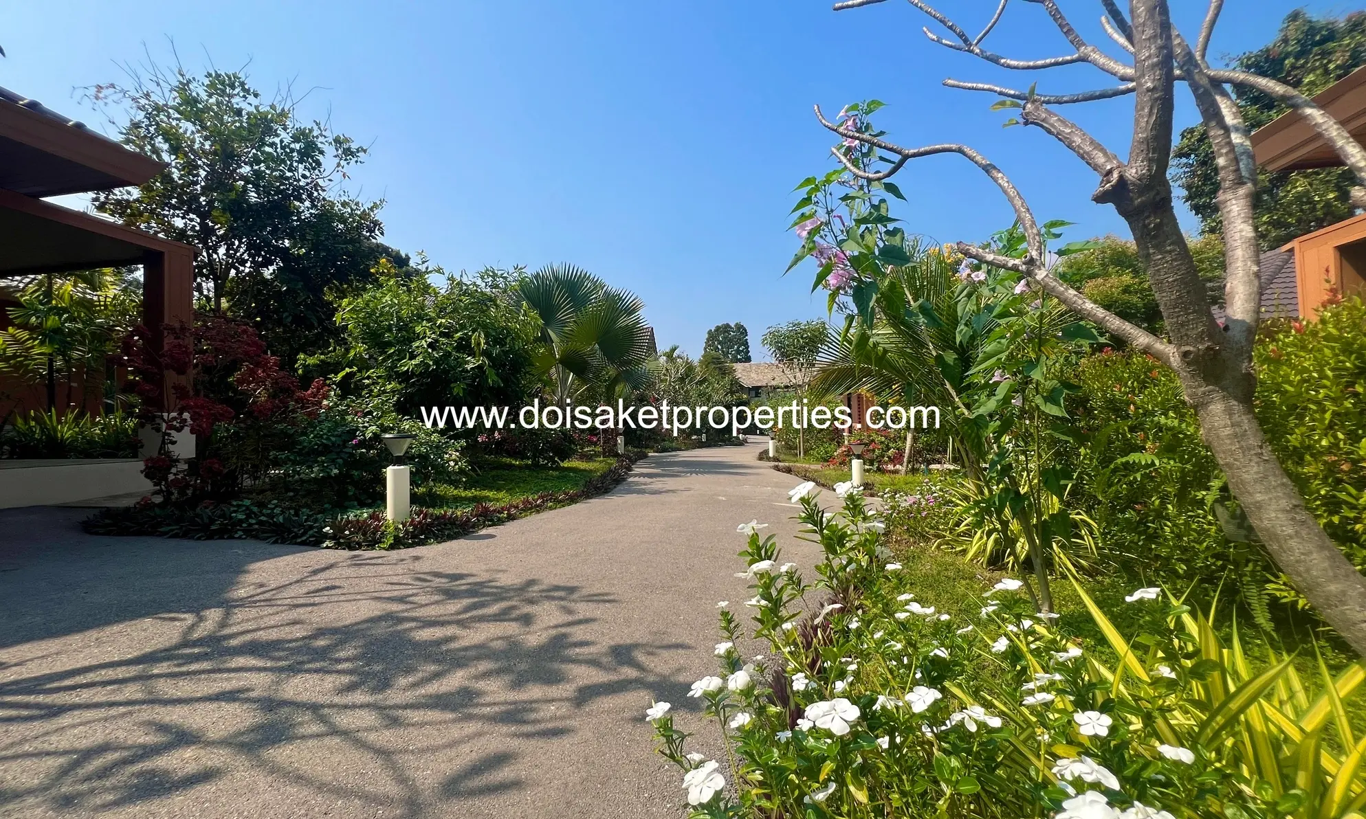 (HR227-01) Brand New Senior Living Residences for Sale and Rent in Doi Saket, Chiang Mai, Thailand