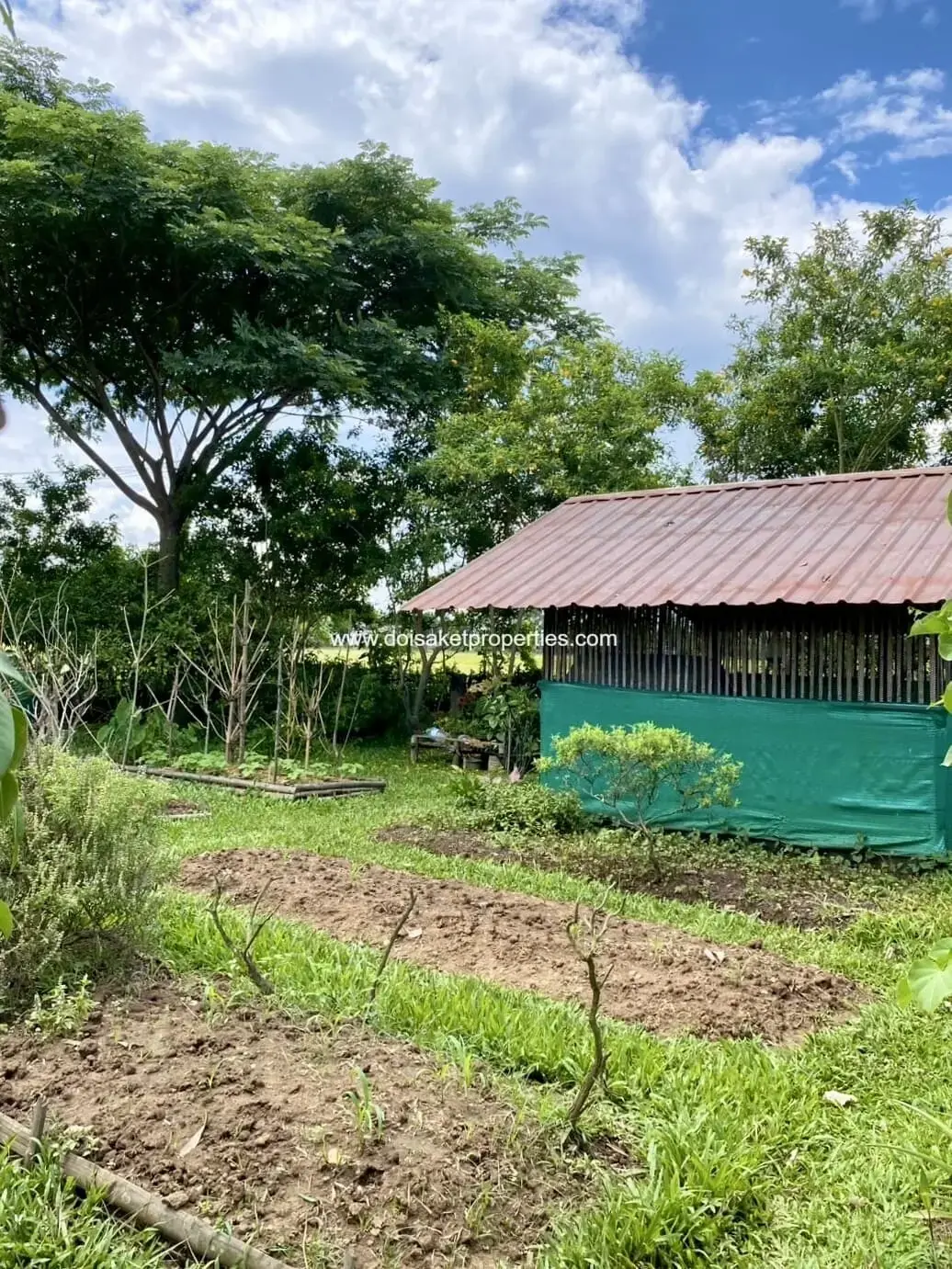 (HS379-05) Lovely Garden Home and Guest Houses with Rice Field Views for Sale in Wiang Pa Pao, Chiang Rai